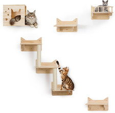 Set Arrampicatoio Da Parete