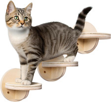 Scaletta per Gatti - Parete