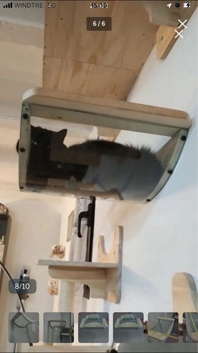 Mensole parete per - parete, gatti