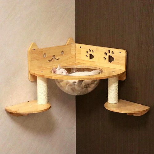 Petomg gatto persico - petomg,